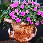 Διαμέρισμα Lovely Mint Garden