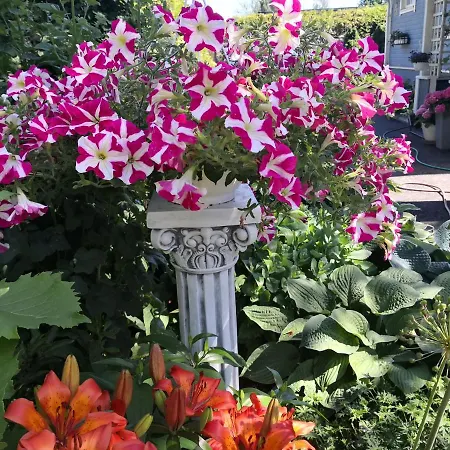 Lovely Mint Garden * Vantaa