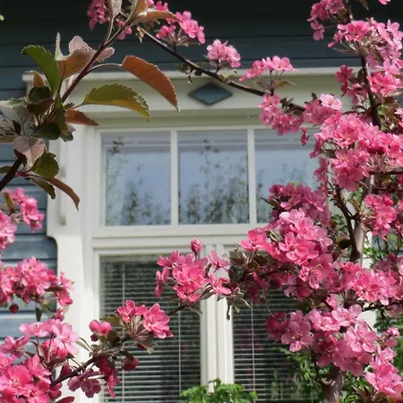 Lovely Mint Garden Apartament Vantaa