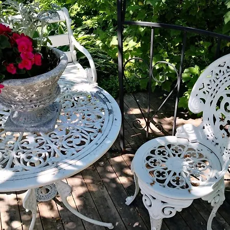 Daire Lovely Mint Garden