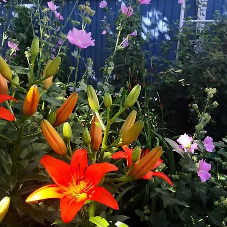 Lovely Mint Garden Apartament