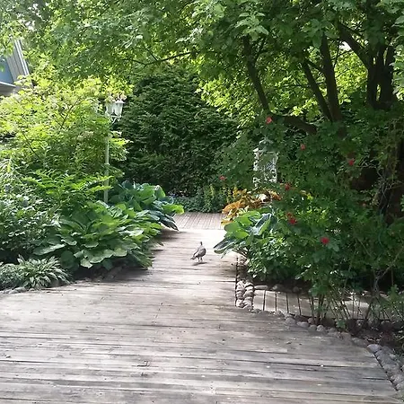 Lovely Mint Garden * Vantaa