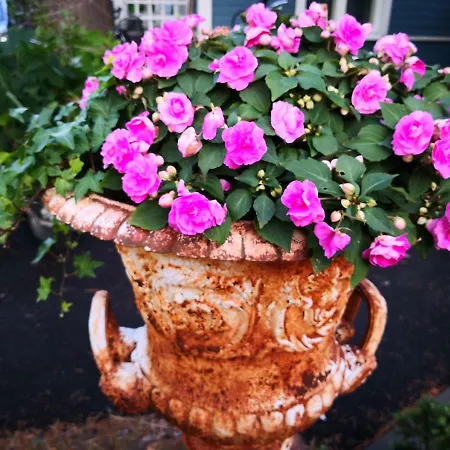 Apartament Lovely Mint Garden