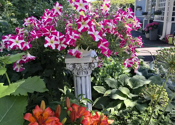 Lovely Mint Garden * فانتا