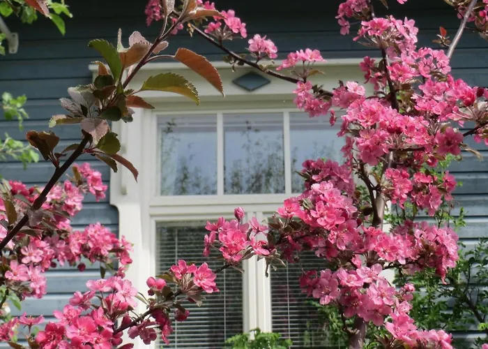 Lovely Mint Garden شقة فانتا