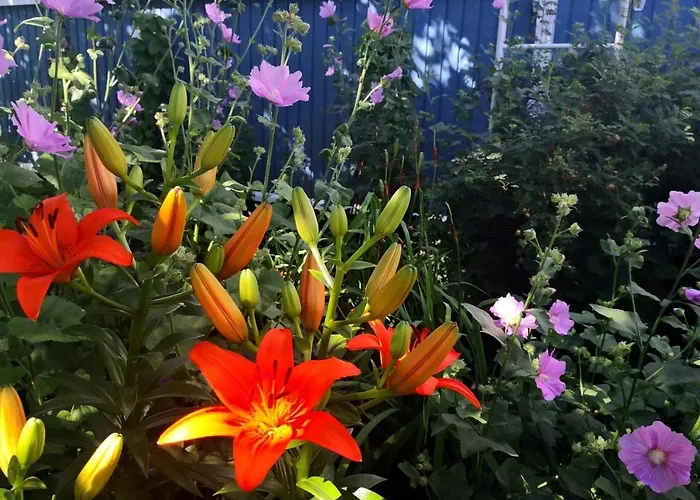 Lovely Mint Garden شقة