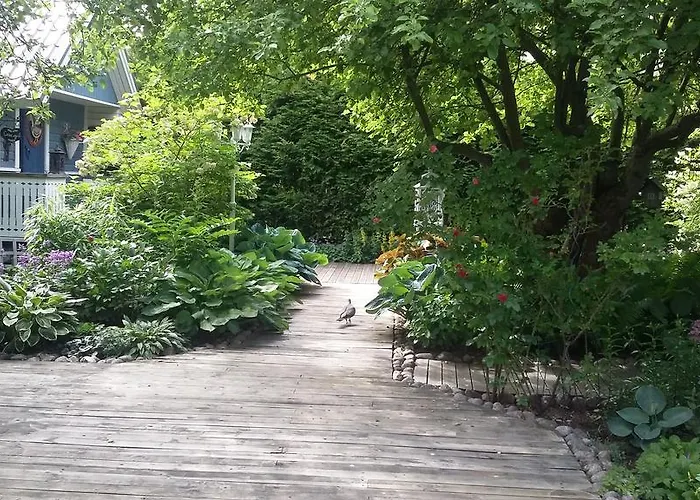 Lovely Mint Garden * فانتا