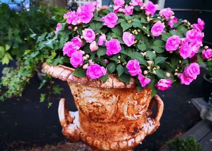 شقة Lovely Mint Garden